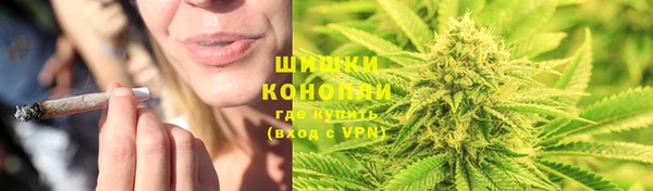 PSILOCYBIN Абдулино