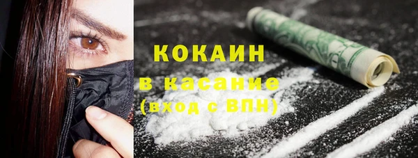 винт Абаза