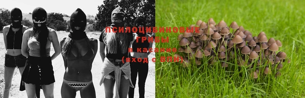 винт Абаза