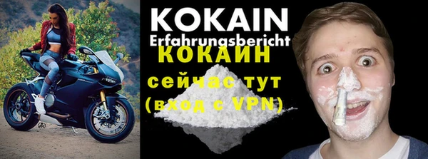 ALPHA PVP Остров