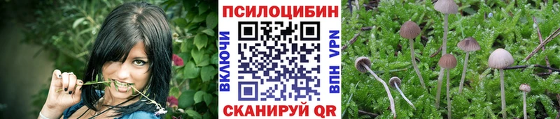 Псилоцибиновые грибы Magic Shrooms  Кизилюрт 